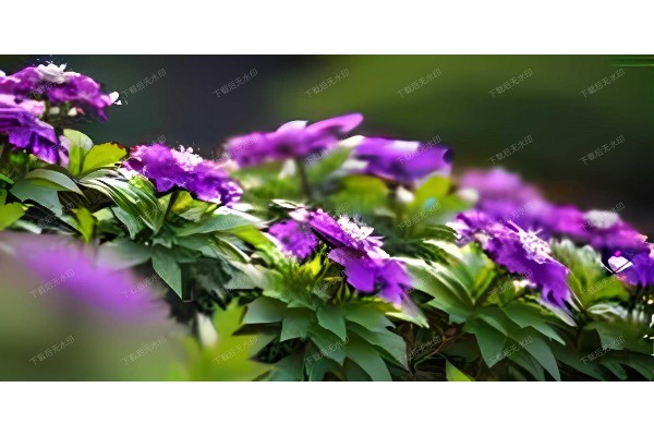 武汉水月桑拿，养生SPA，尽享舒适时光